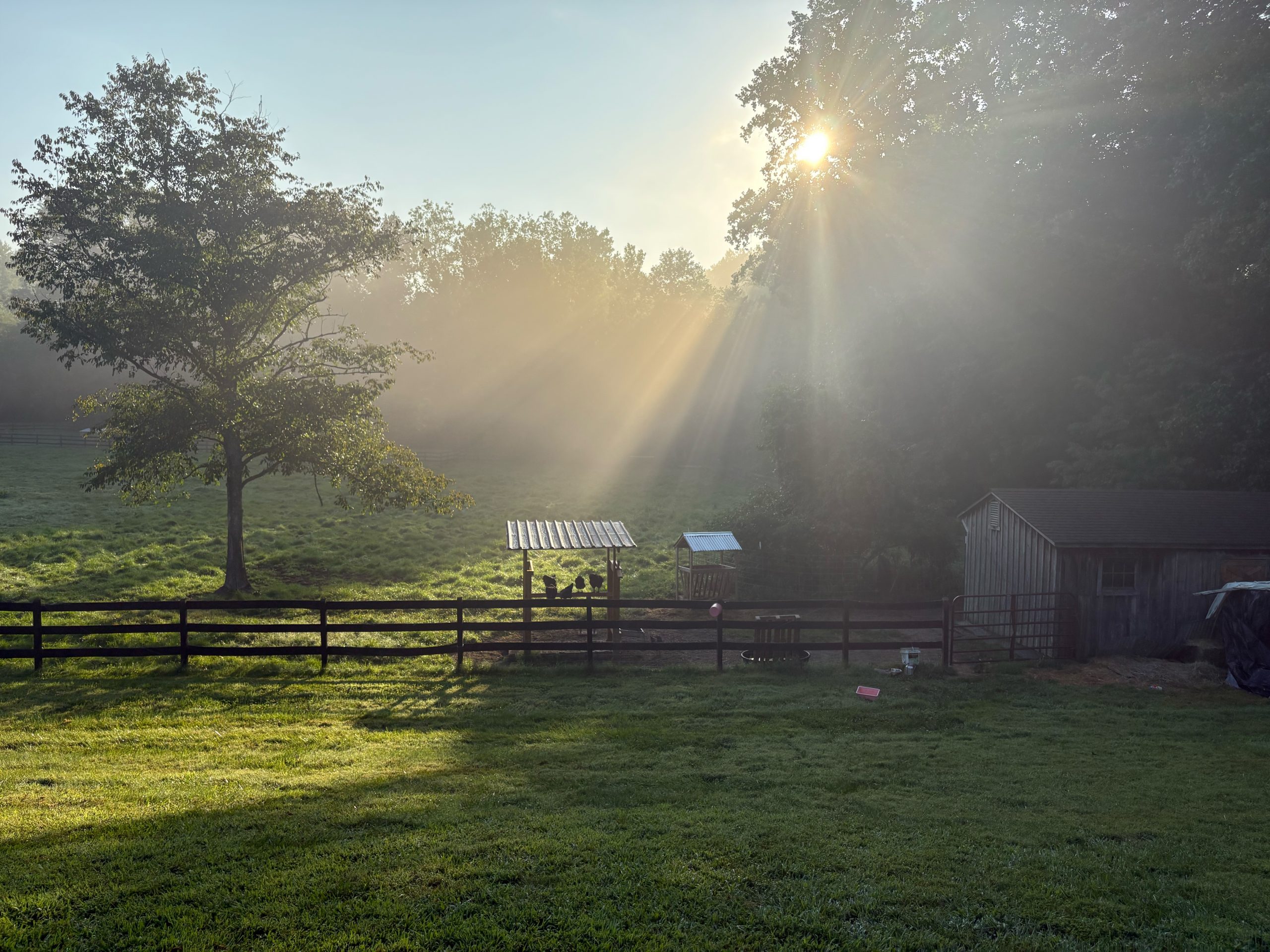 Sunrise on the farm