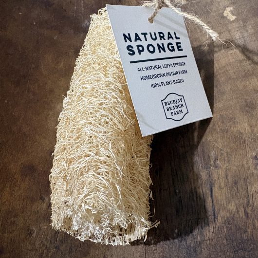 Natural Sponge